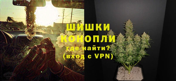 сатива Медвежьегорск