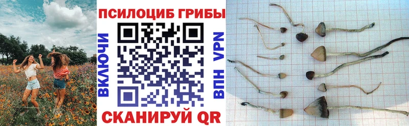 Псилоцибиновые грибы Magic Shrooms  где купить наркоту  Лобня 