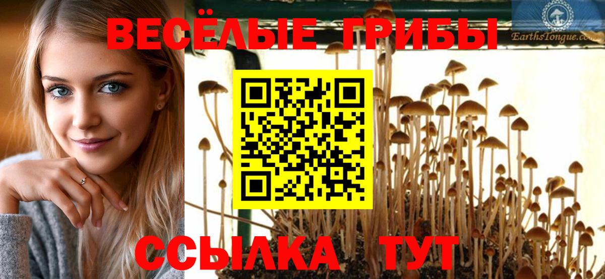 Галлюциногенные грибы GOLDEN TEACHER  Псилоцибиновые грибы Psilocybe  Лобня  Вход с VPN 
